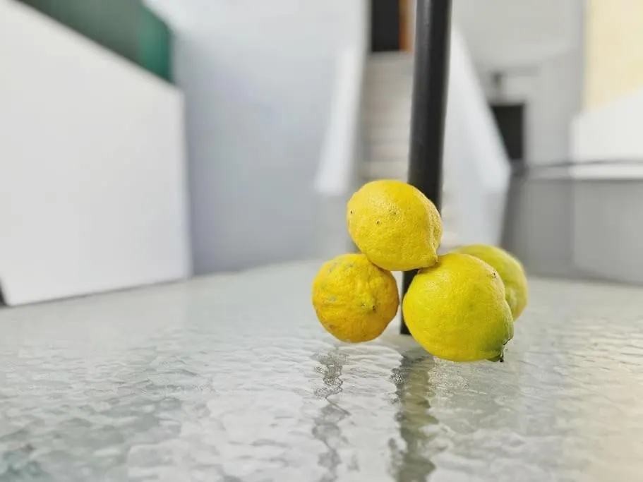 Lemon Tree Studio With Patio Lissabon Appartement